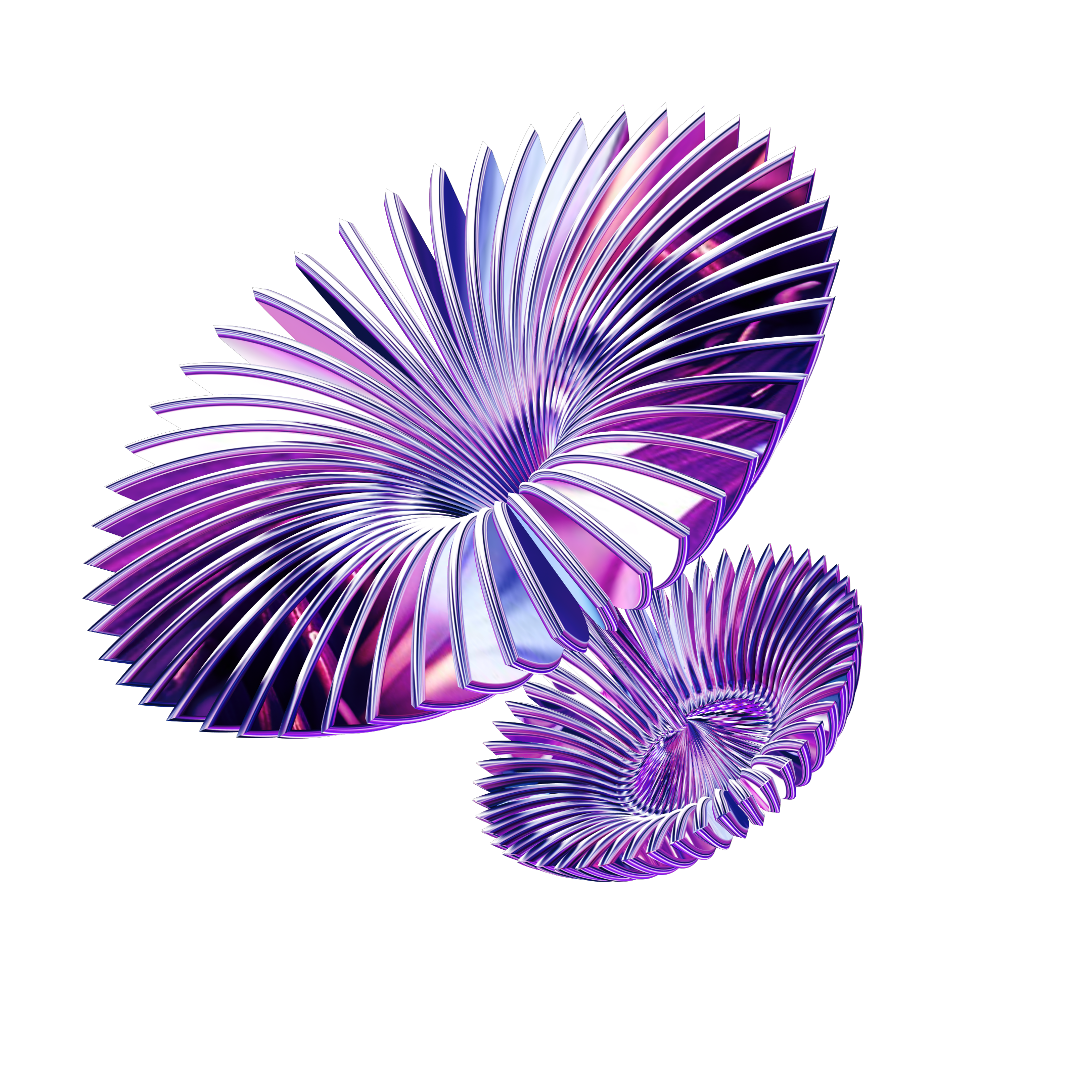 Decorative Palm Leaf